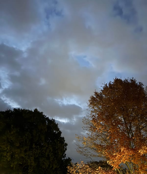 110525_first 40 minutes